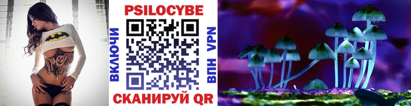 сколько стоит  Томмот  Псилоцибиновые грибы ЛСД 